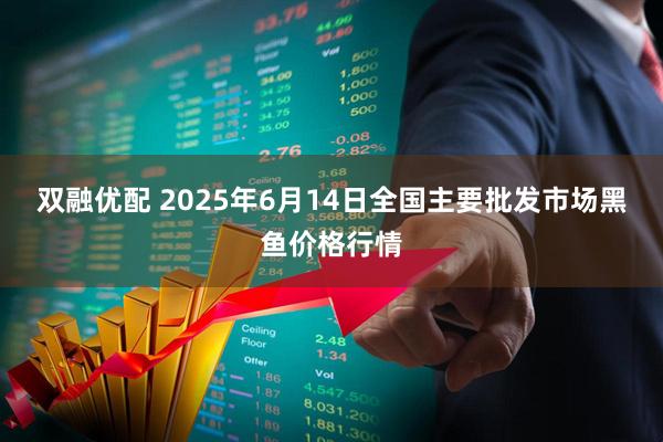双融优配 2025年6月14日全国主要批发市场黑鱼价格行情