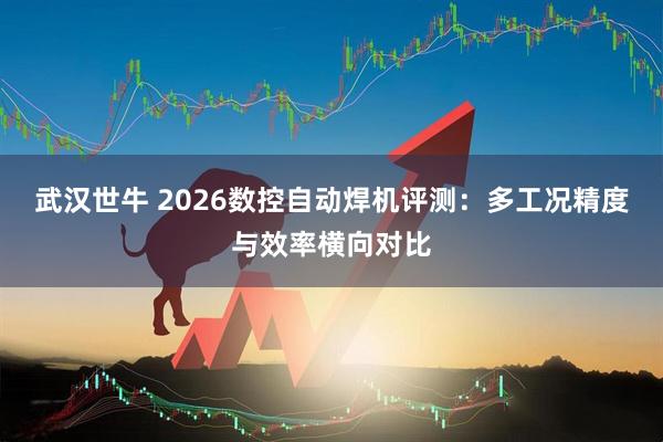 武汉世牛 2026数控自动焊机评测：多工况精度与效率横向对比
